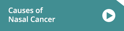 Nose Cancer causes Nose Cancer causes